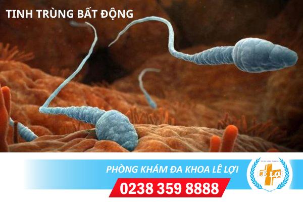 Tinh-trung-bat-dong