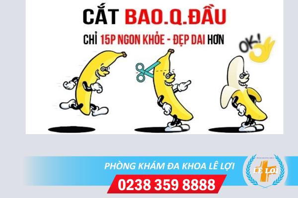 Cat-bao-quy-dau-the-nao